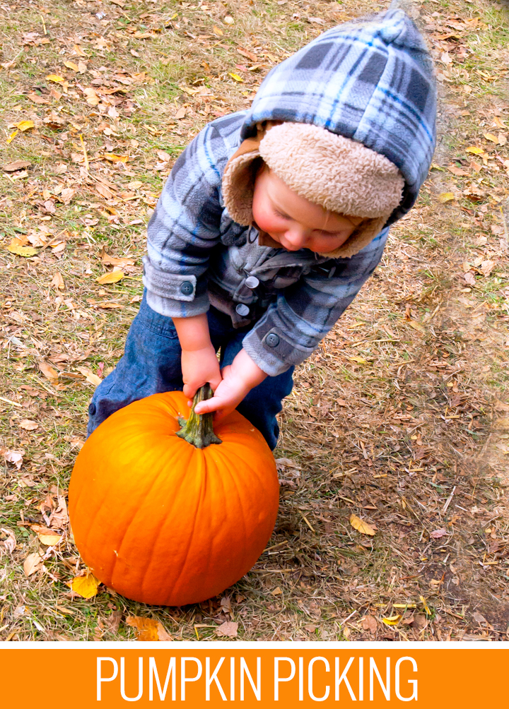 pumpkin-patch-title