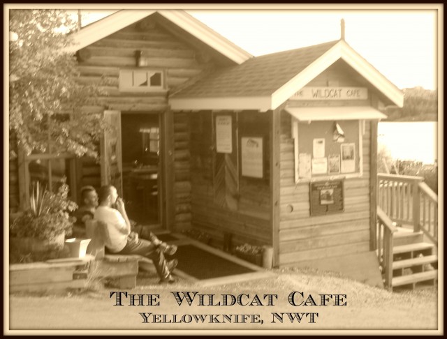 wildcat-640x486 wildcat-640x486