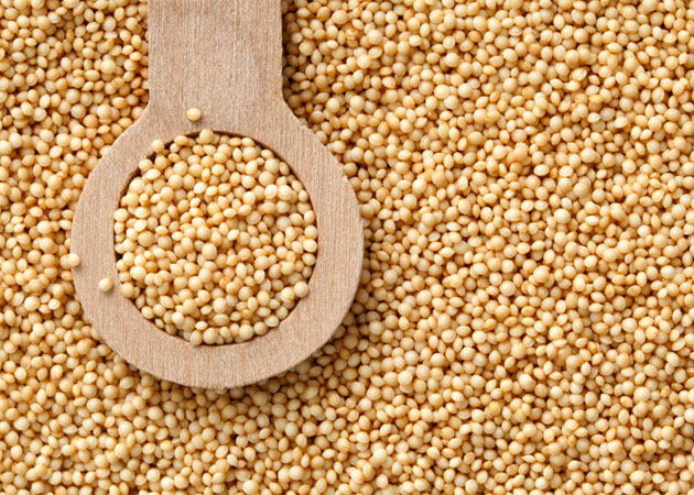 wsgaamaranth wsgaamaranth
