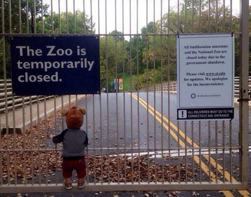 Zoo is Closed