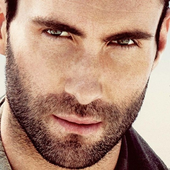 Adam-Levine-biography