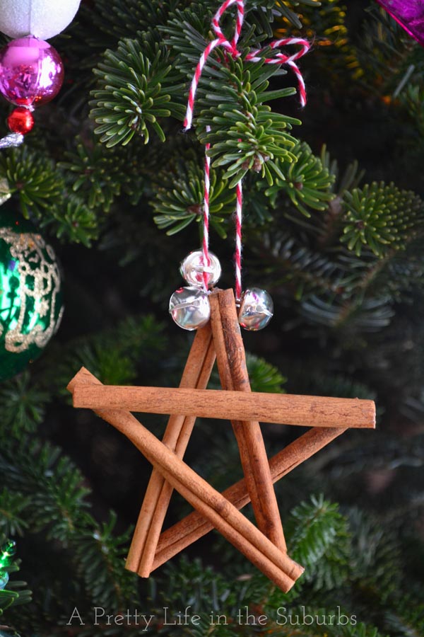 Cinnamon-Star-Ornament11