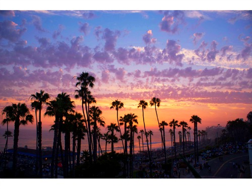 Palm-Trees-at-Sunset-