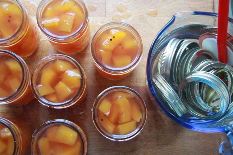 pumpkinpickle2 pumpkinpickle2