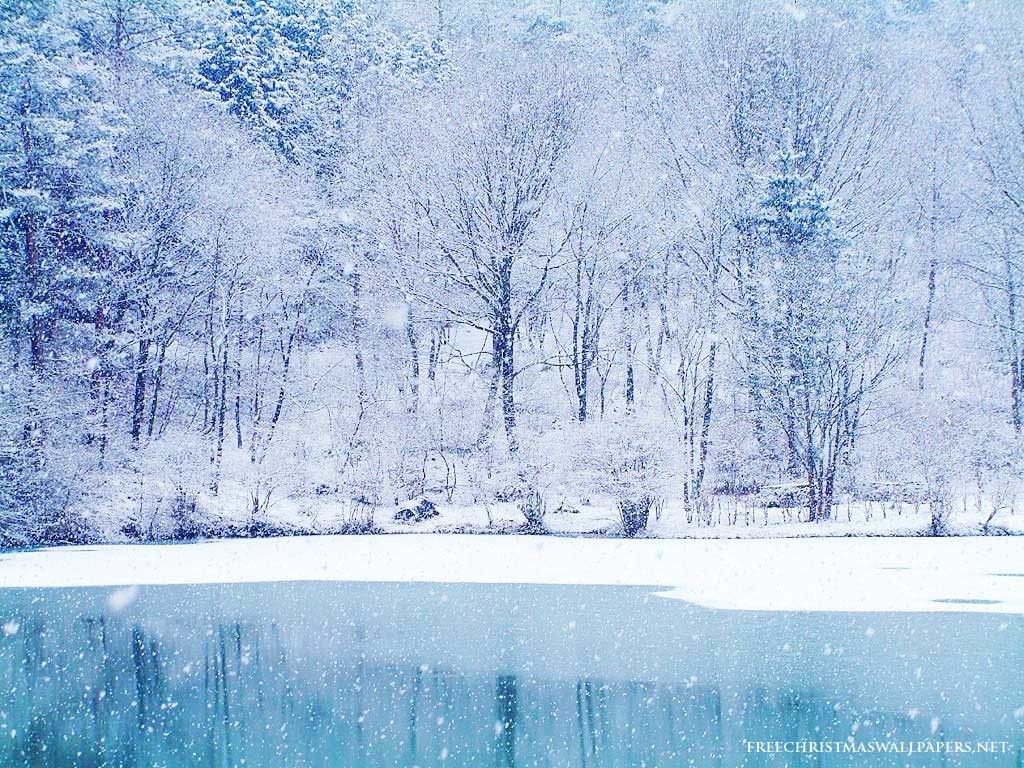 Cold-Nature-732225 Cold-Nature-732225