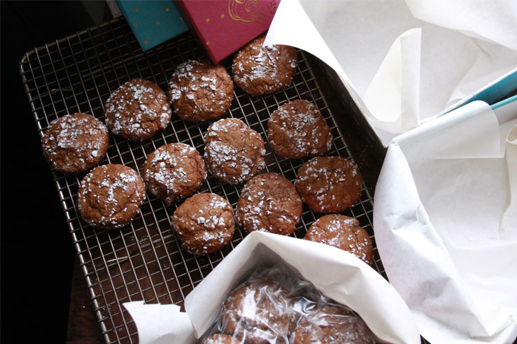 gingercookie4 gingercookie4