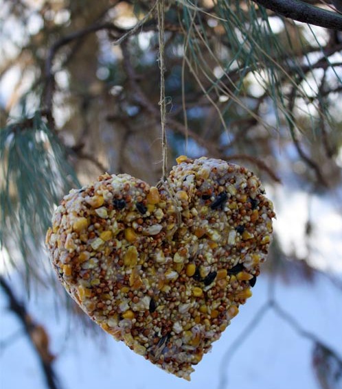 Homemade-Heart-Birdfeeder-e1294930285406