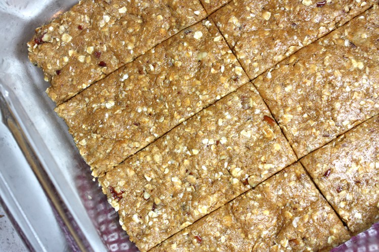 No-Bake-Maple-Pecan-Protein-Bars_2