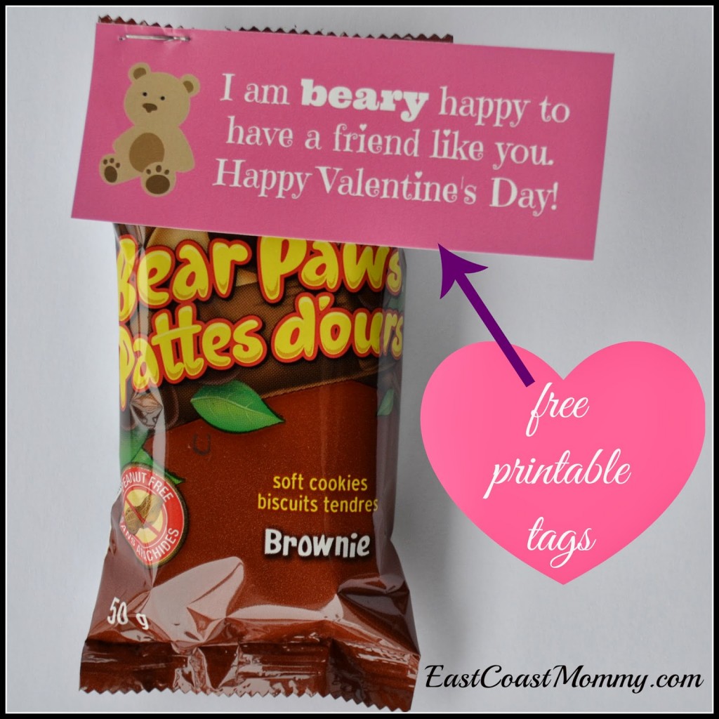 Valentine_bearyhappytohaveafriendlikeyou