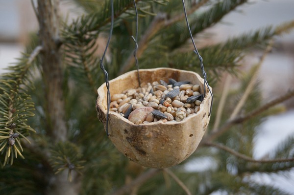 gourd-bird-feeder-3 gourd-bird-feeder-3