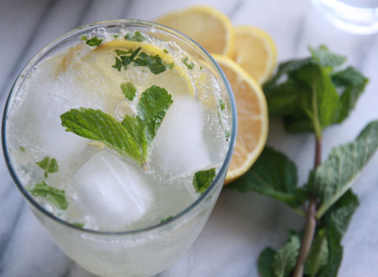 lemonmojito4 lemonmojito4