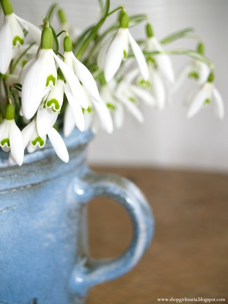 Snowdrops-Centerpiece-Shop-Girl Snowdrops-Centerpiece-Shop-Girl