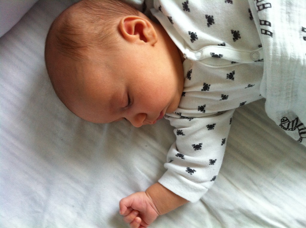 nap_holland-1 nap_holland-1