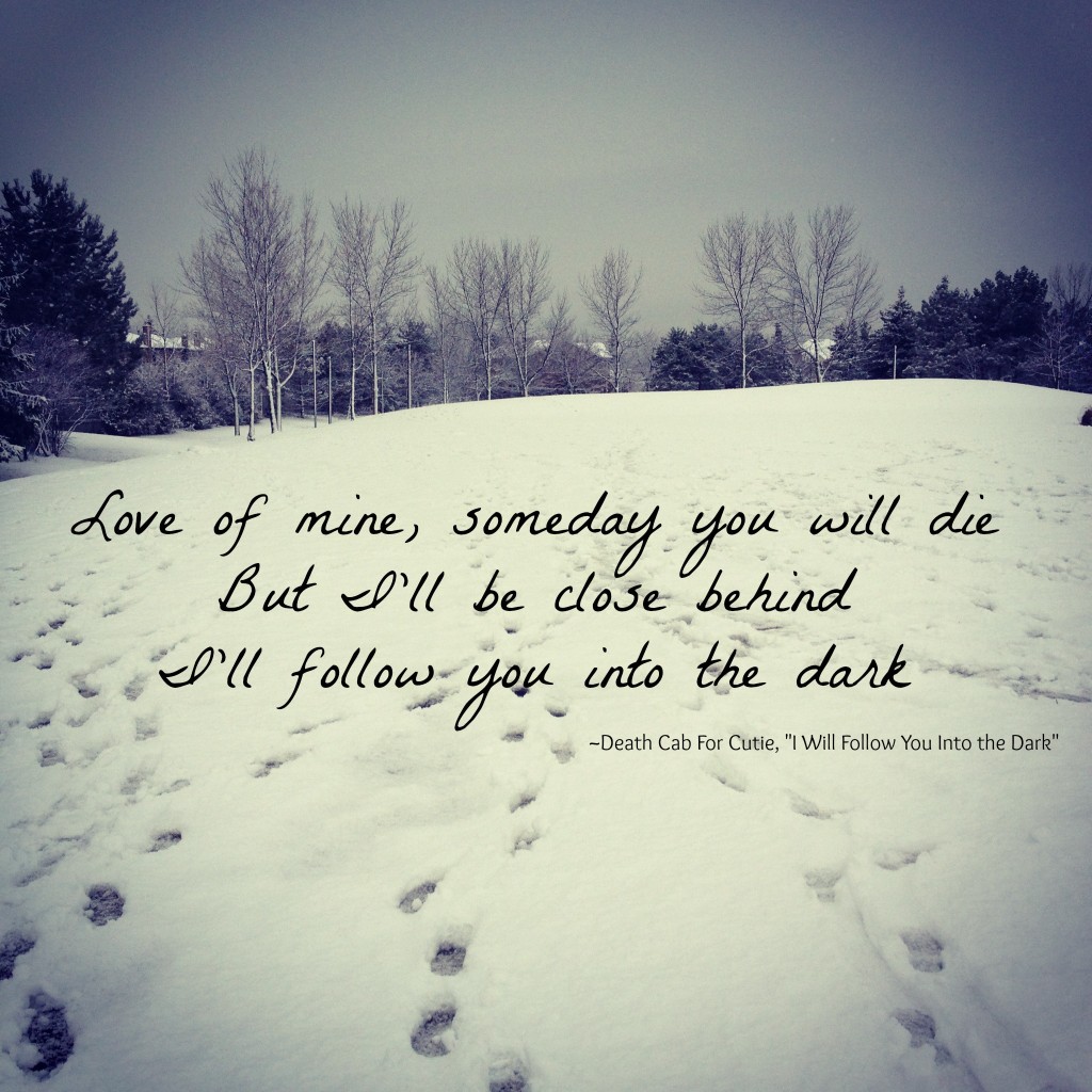 ill-follow-you-into-the-dark-1024x1024