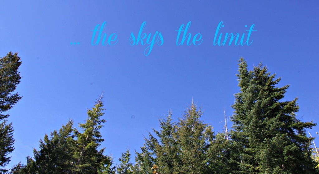 skyslimit