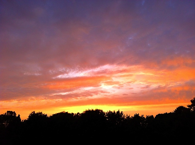 sunset sunset