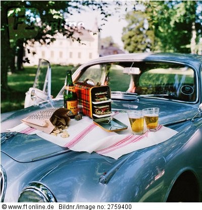 Car-picnic