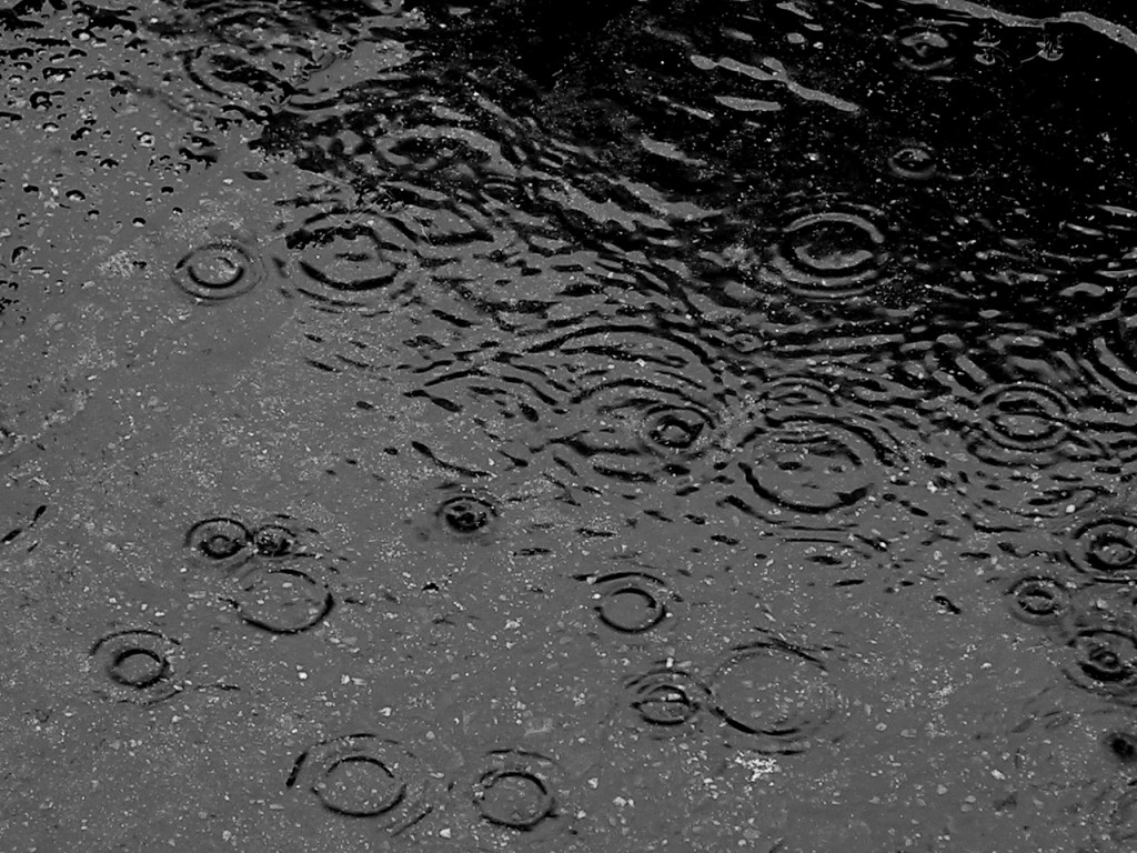 Here_comes_rain_again Here_comes_rain_again