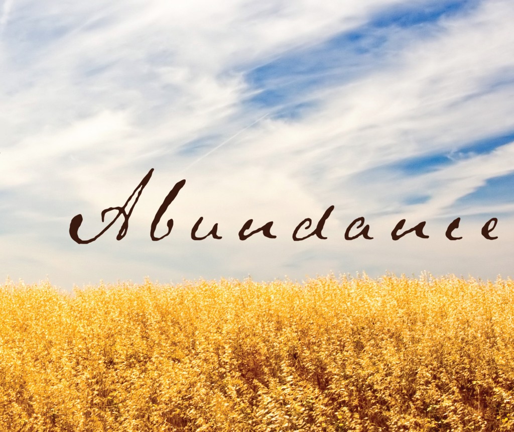 abundance abundance