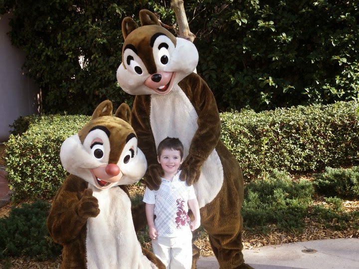 chipndale chipndale