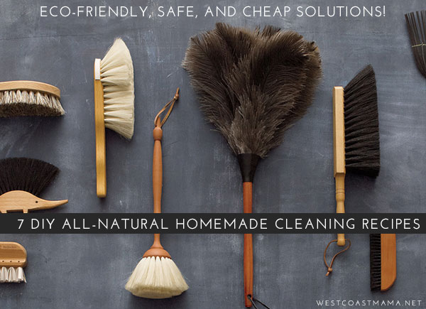7-diy-home-cleaning-recipes 7-diy-home-cleaning-recipes