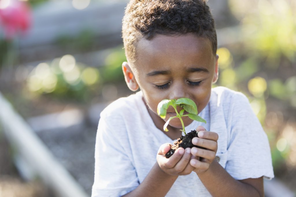 DIY Gardens for Kids - SavvyMom