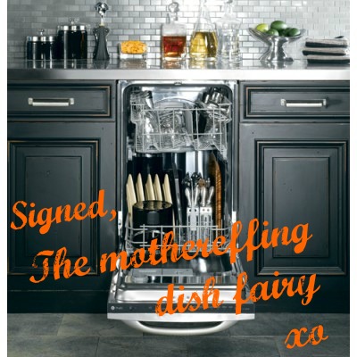 Signed-The-mothereffing-dish-fairy
