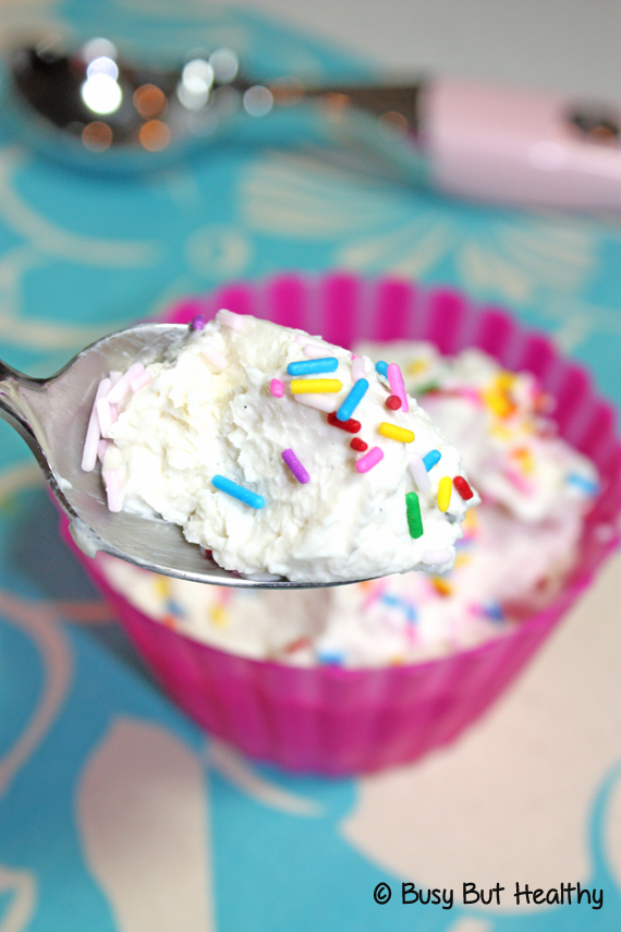 Vanilla-Frozen-Yogurt-Sugar-Free-Fat-Free_3