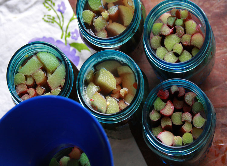 pickledrhubarb3 pickledrhubarb3