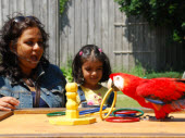 animal shows at African Lion Safari