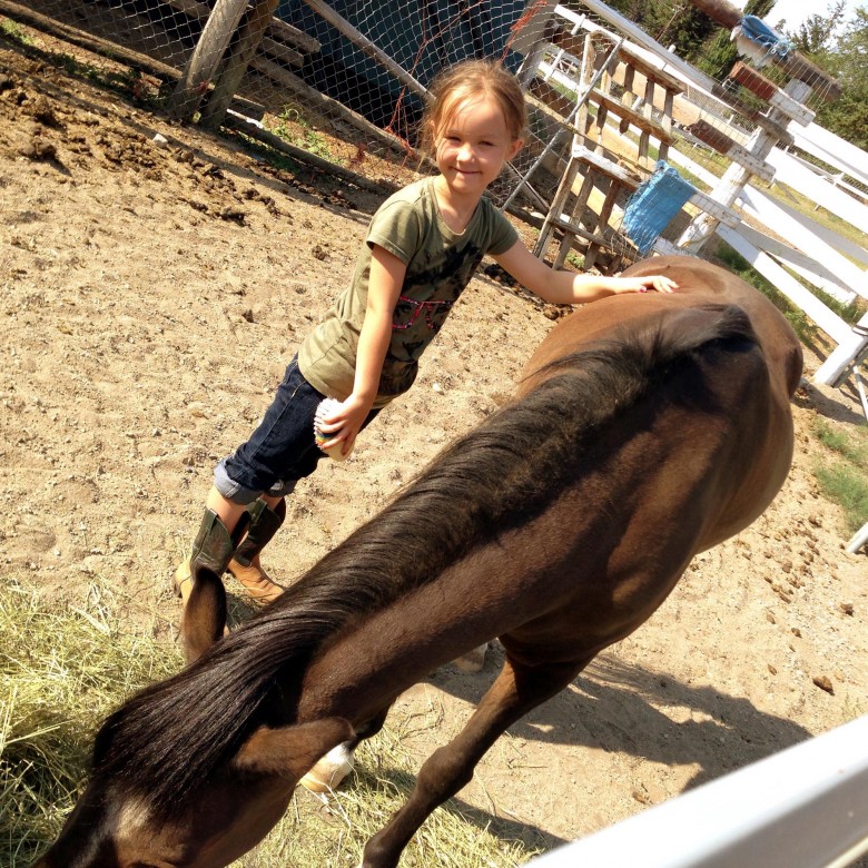 Horse2-780x780 Horse2-780x780