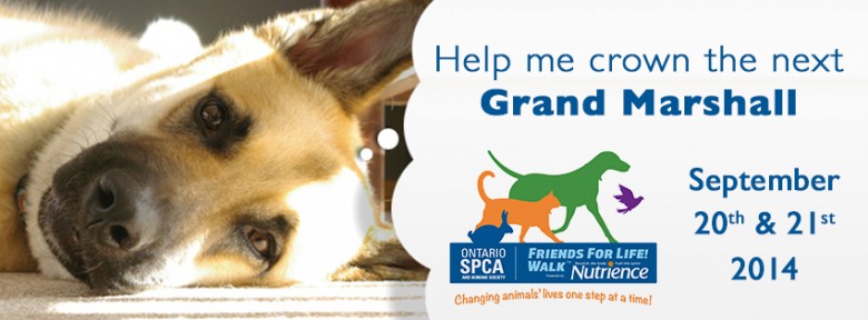 OSPCA-Grand-Marshall-Contest-Facebook-Banner-780x288 OSPCA-Grand-Marshall-Contest-Facebook-Banner-780x288