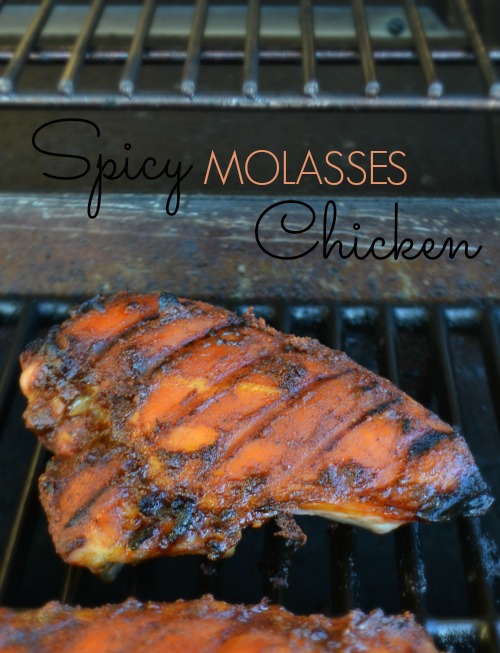 SpicyMolassesChicken SpicyMolassesChicken