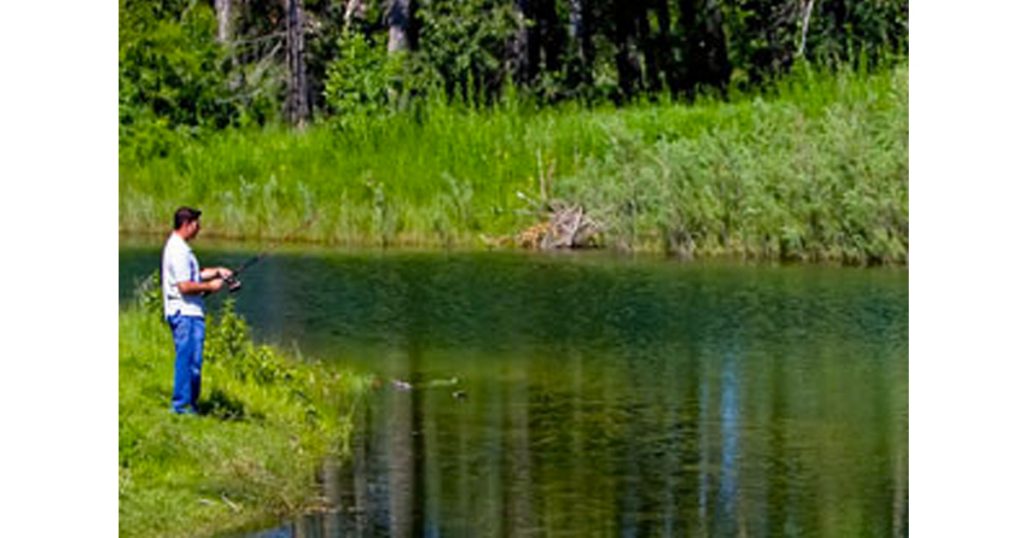 Carburn Park - The Best Parks and Picnic Spots in Calgary