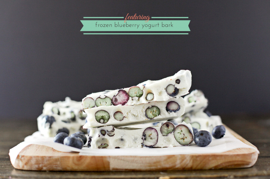 frozen-blueberry-yogurt-bark-dashofbutter.com_ frozen-blueberry-yogurt-bark-dashofbutter.com_