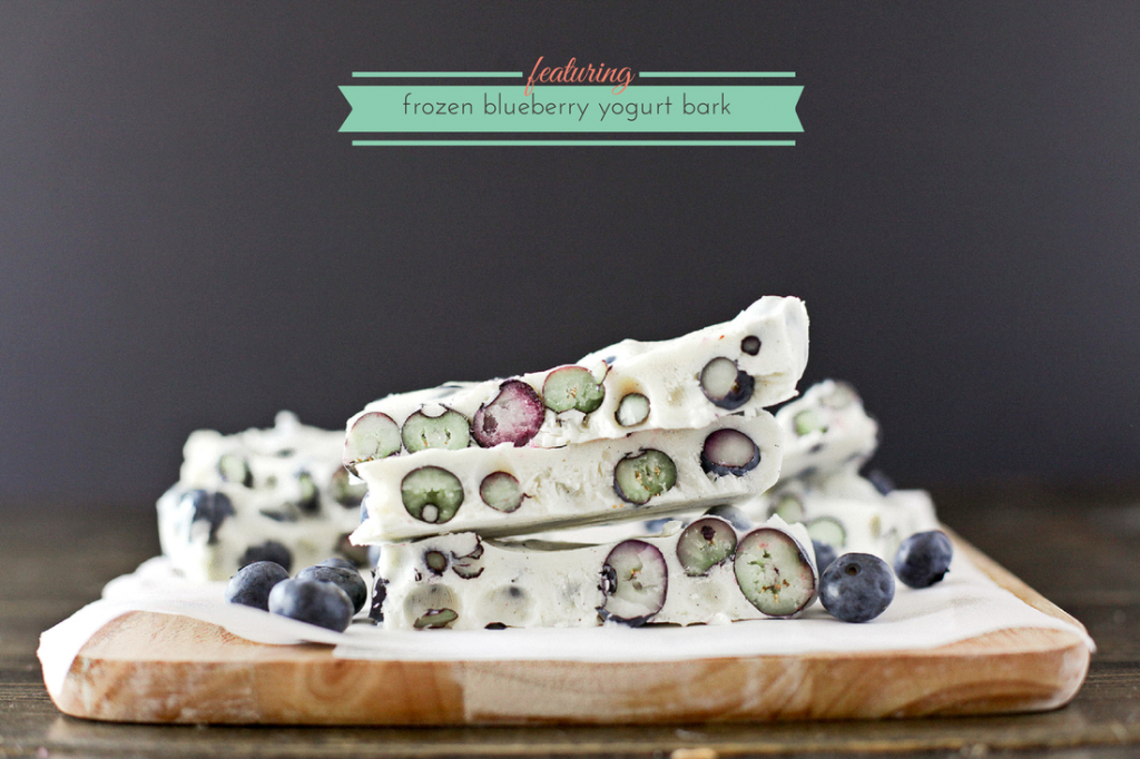 frozen-blueberry-yogurt-bark-dashofbutter.com_