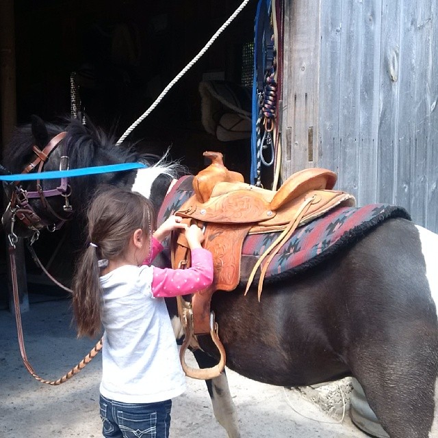 kicking-mule-riding-lessons