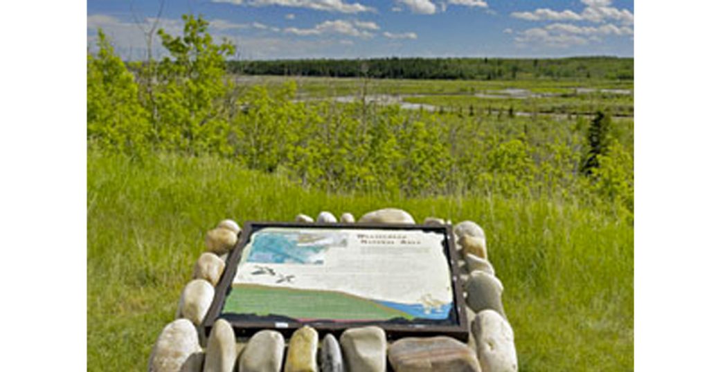 Weaselhead Flats - Best Park and Picnic Spots in Calgary