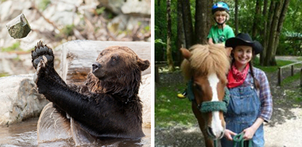 where to take the kids for an animal adventure in Vancouver