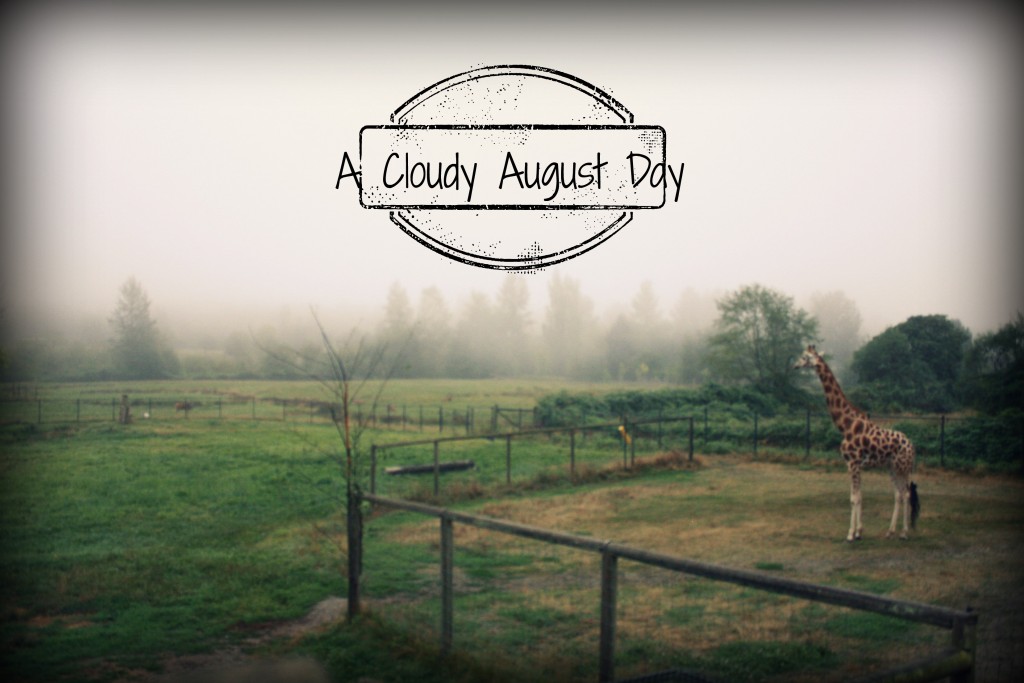 A-Cloudy-August-Day