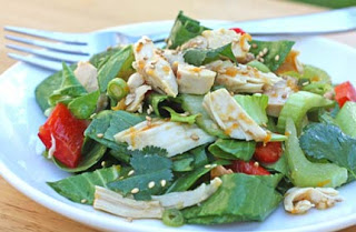 chicken-salad-sesame-ginger1 chicken-salad-sesame-ginger1
