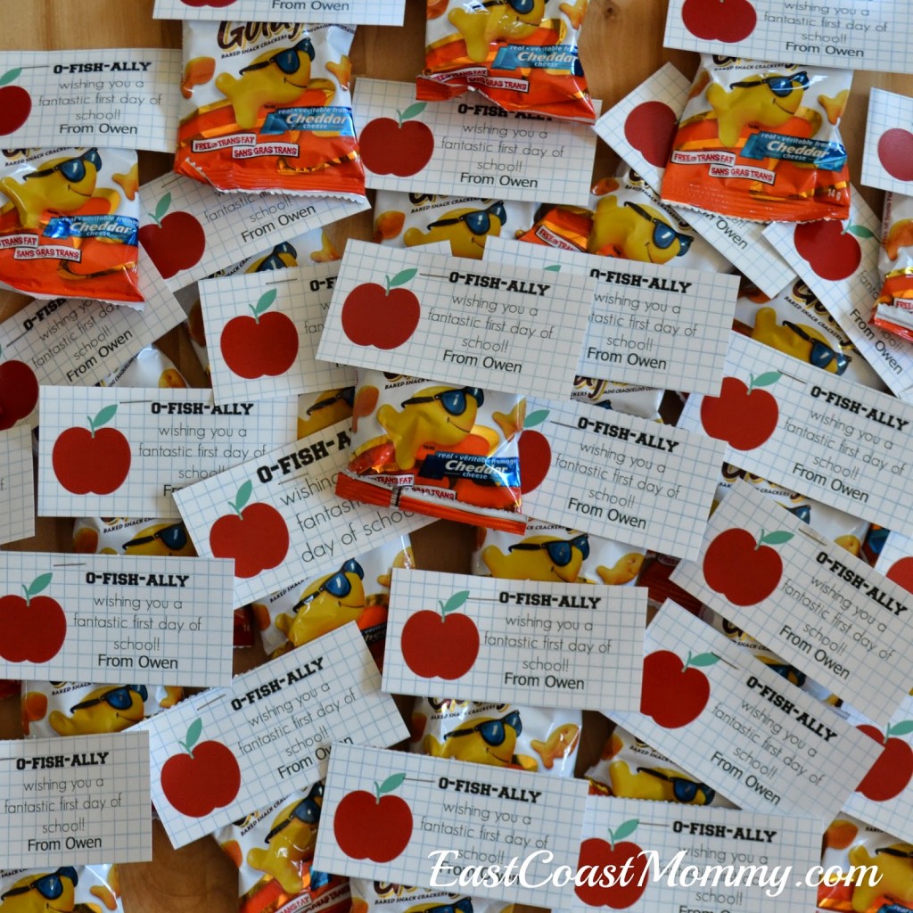 class2Btreats_goldfish class2Btreats_goldfish