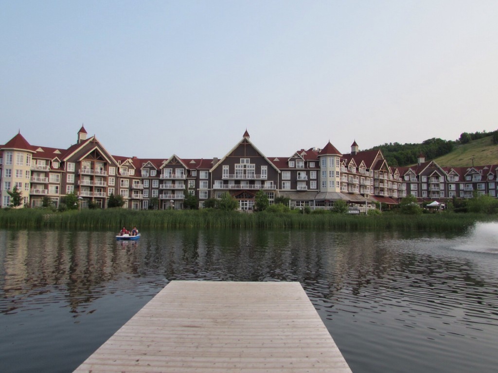 image1 image1