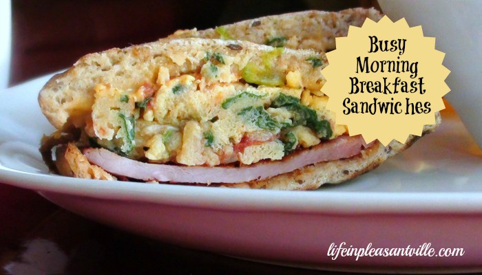 Breakfast_Freezer_sandwich Breakfast_Freezer_sandwich