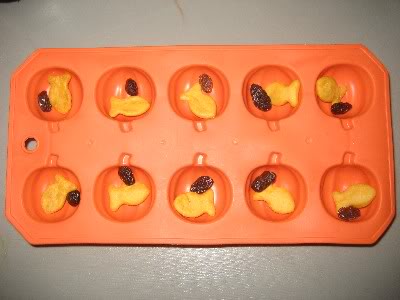 IMG_6219 IMG_6219