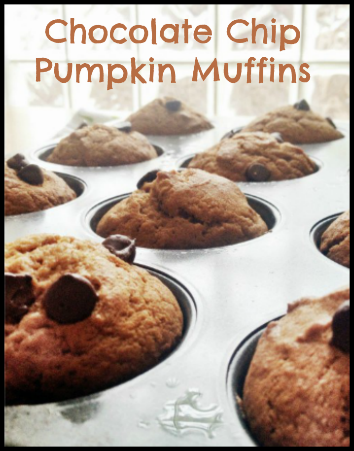 Pumpkin-Muffin-Recipe