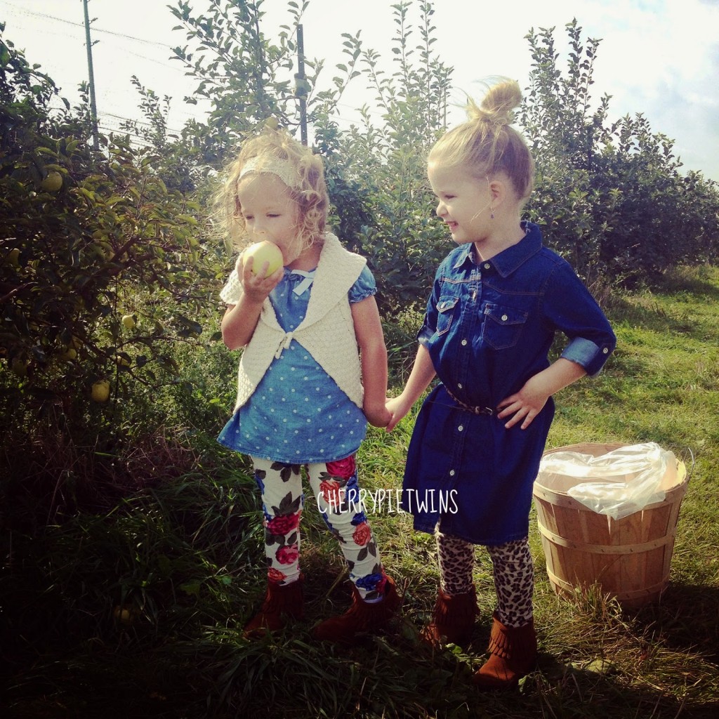 applepicking1