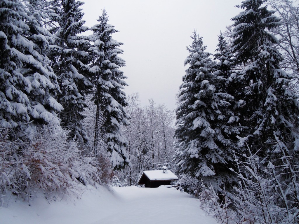 cabin-1024x768 cabin-1024x768
