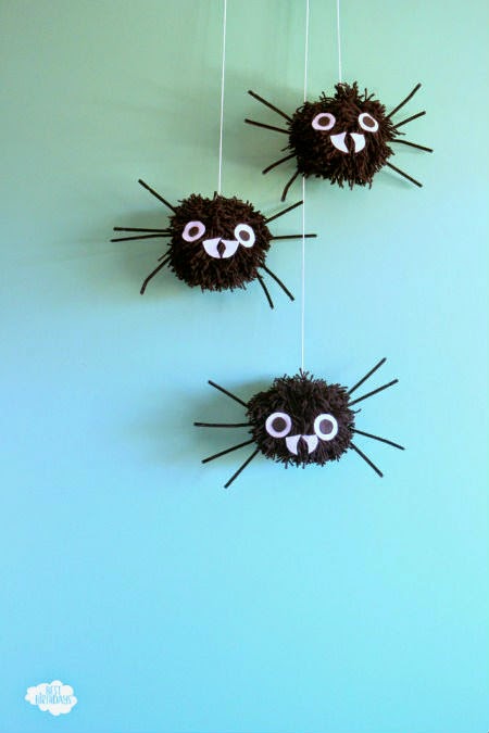 giant-pom-pom-spider-12 giant-pom-pom-spider-12