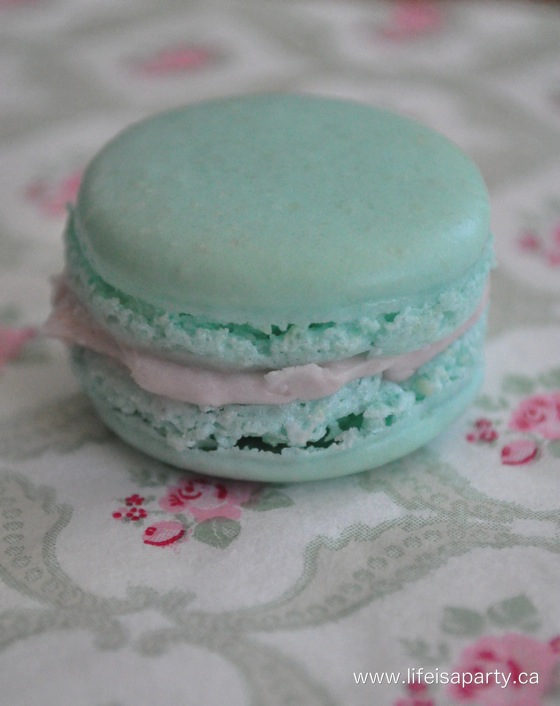macaron-9 macaron-9